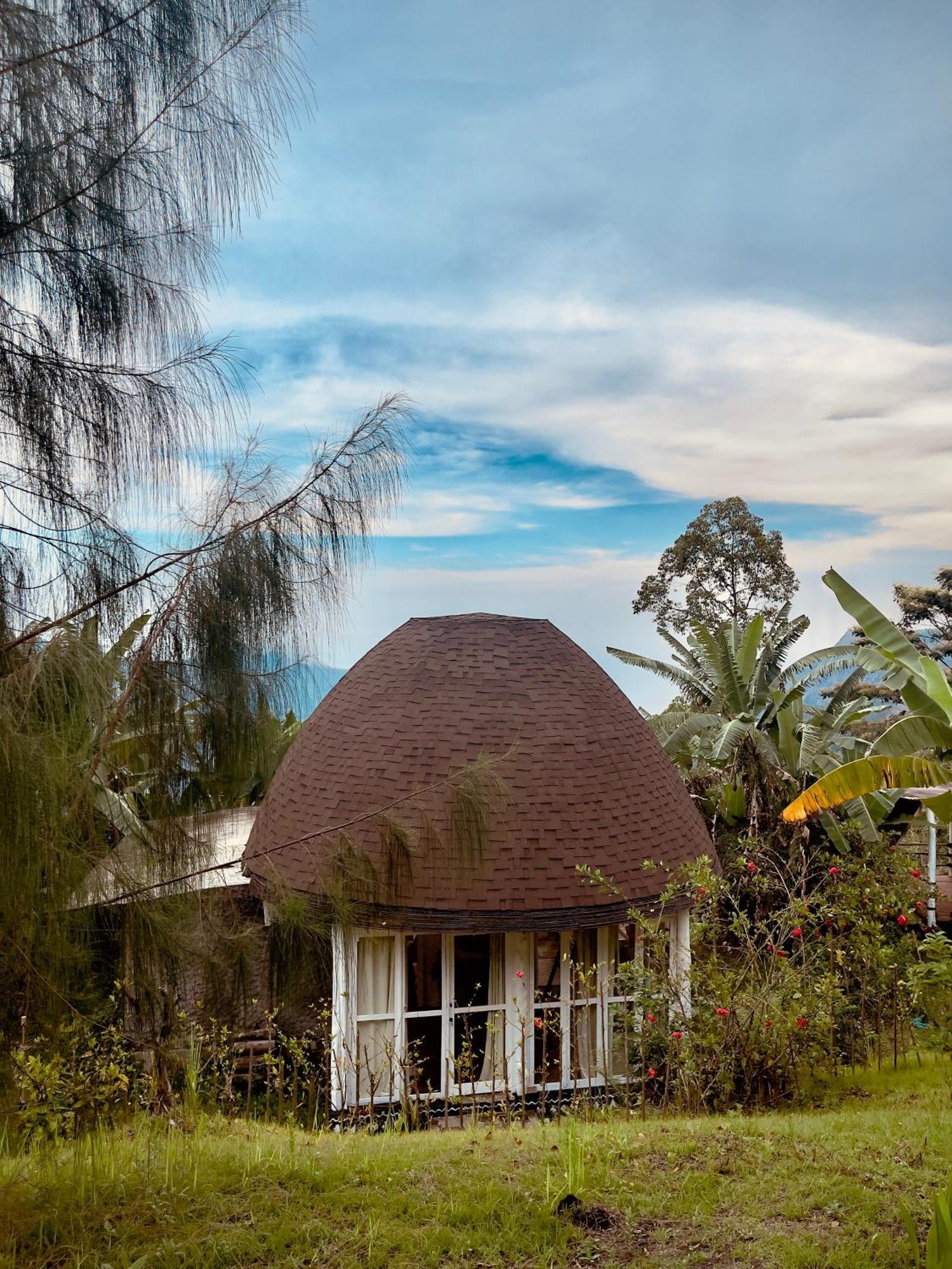 Manulalu Jungle Otel Bajawa Dış mekan fotoğraf